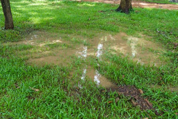Cost of Storm Water Drainage Service in Birmingham