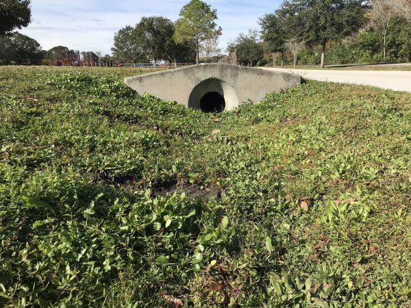 Cost of Swale Drainage Service in Birmingham